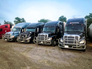 Schwarz logistics