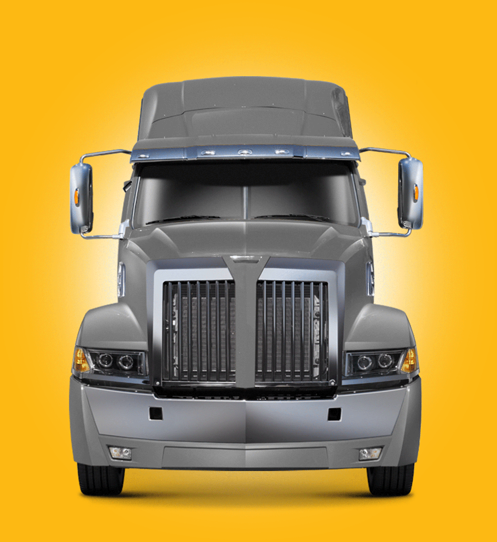 LT 300 Series ExGuard